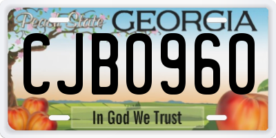 GA license plate CJB0960