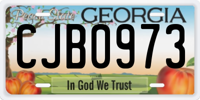 GA license plate CJB0973