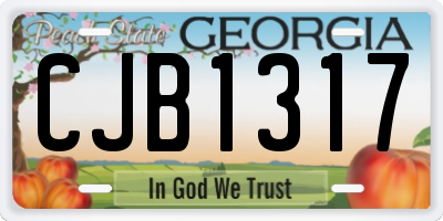 GA license plate CJB1317