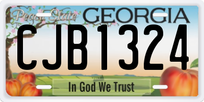 GA license plate CJB1324