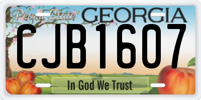 GA license plate CJB1607