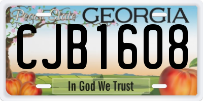 GA license plate CJB1608