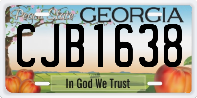 GA license plate CJB1638