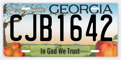GA license plate CJB1642