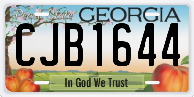 GA license plate CJB1644