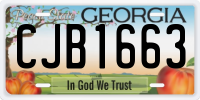 GA license plate CJB1663