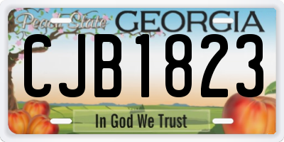 GA license plate CJB1823