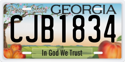 GA license plate CJB1834