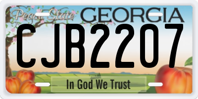 GA license plate CJB2207
