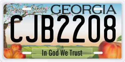 GA license plate CJB2208