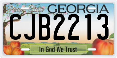 GA license plate CJB2213
