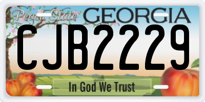 GA license plate CJB2229