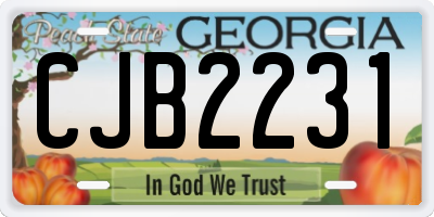 GA license plate CJB2231