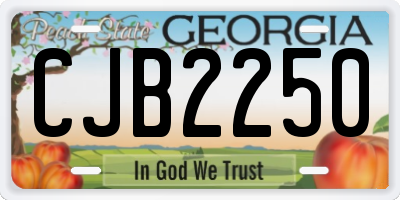 GA license plate CJB2250