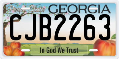 GA license plate CJB2263