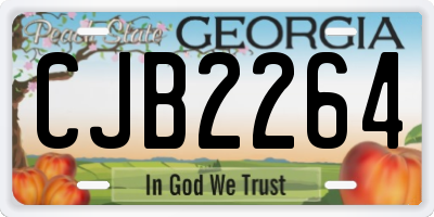 GA license plate CJB2264