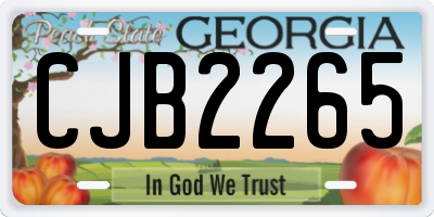 GA license plate CJB2265