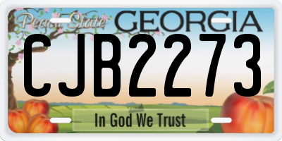 GA license plate CJB2273