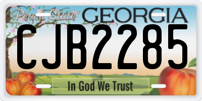 GA license plate CJB2285