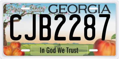GA license plate CJB2287