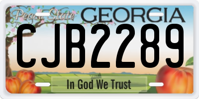 GA license plate CJB2289