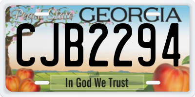 GA license plate CJB2294