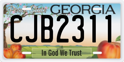 GA license plate CJB2311