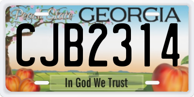 GA license plate CJB2314