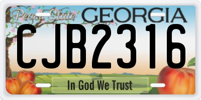 GA license plate CJB2316