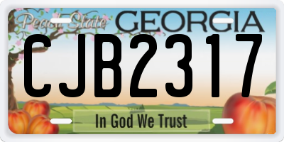 GA license plate CJB2317