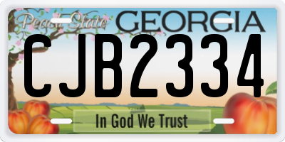 GA license plate CJB2334