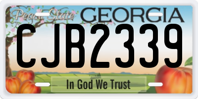 GA license plate CJB2339
