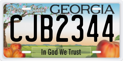 GA license plate CJB2344