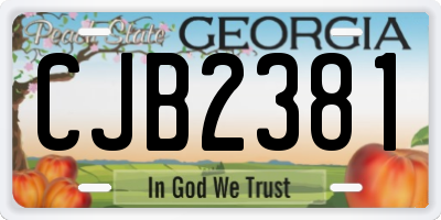 GA license plate CJB2381