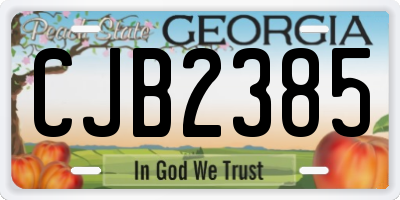 GA license plate CJB2385