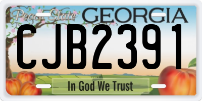 GA license plate CJB2391