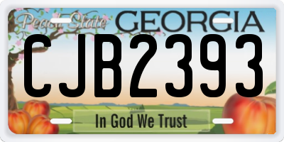 GA license plate CJB2393
