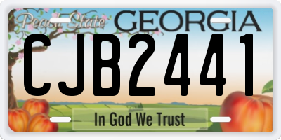 GA license plate CJB2441