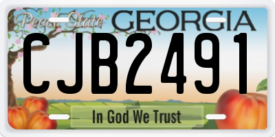 GA license plate CJB2491