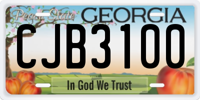 GA license plate CJB3100