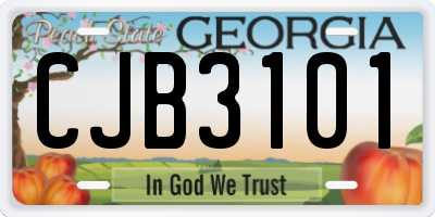 GA license plate CJB3101