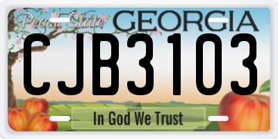 GA license plate CJB3103