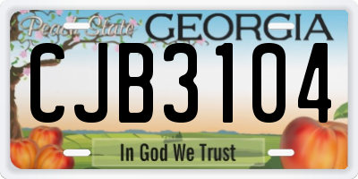 GA license plate CJB3104