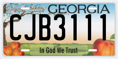 GA license plate CJB3111
