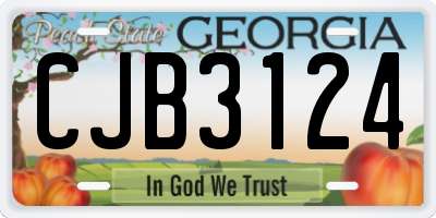 GA license plate CJB3124