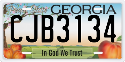 GA license plate CJB3134