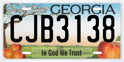 GA license plate CJB3138