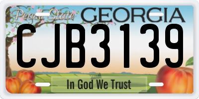 GA license plate CJB3139
