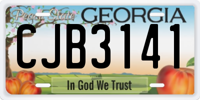 GA license plate CJB3141