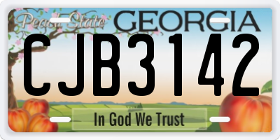 GA license plate CJB3142